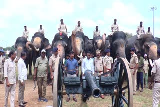 MYSURU DASARA: SECOND PHASE OF EXPLOSIVE TRAINING FOR DASARA ELEPHANTS