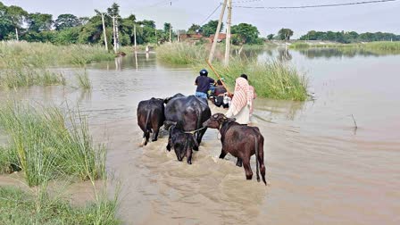 Flood In Gopalganj