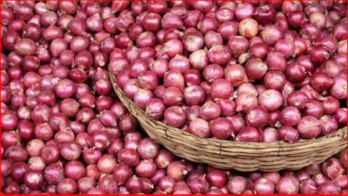 Onion Export