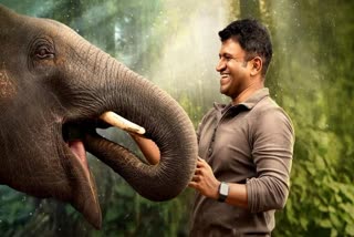 Power star puneeth rajkumar acted in movies of conveys a message to the society