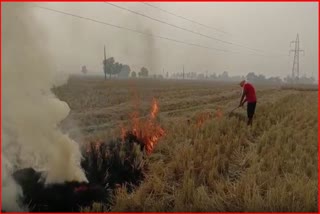 Continue to Set Fire to Stubble in Amritsar