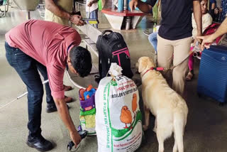 checking kasarkod railway station  Inspection At Kasaragod Railway Station  കളമശ്ശേരി സ്ഫോടനം  കാസർകോട് റെയിൽവേ സ്റ്റേഷനിലും പരിശോധന  Kalamassery blast  Inspection by Railway Police and RPF  Bomb Squad and Dog Squad in the inspection team  Ernakulam bomb blast  Convention hall explosion Kochi  kalamassery