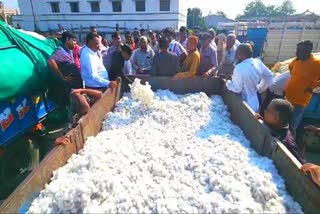 Cotton Prices