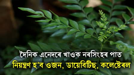 Curry Leaves Health Benefits: Manage Diabetes, Weight Loss, Boost Iron Levels