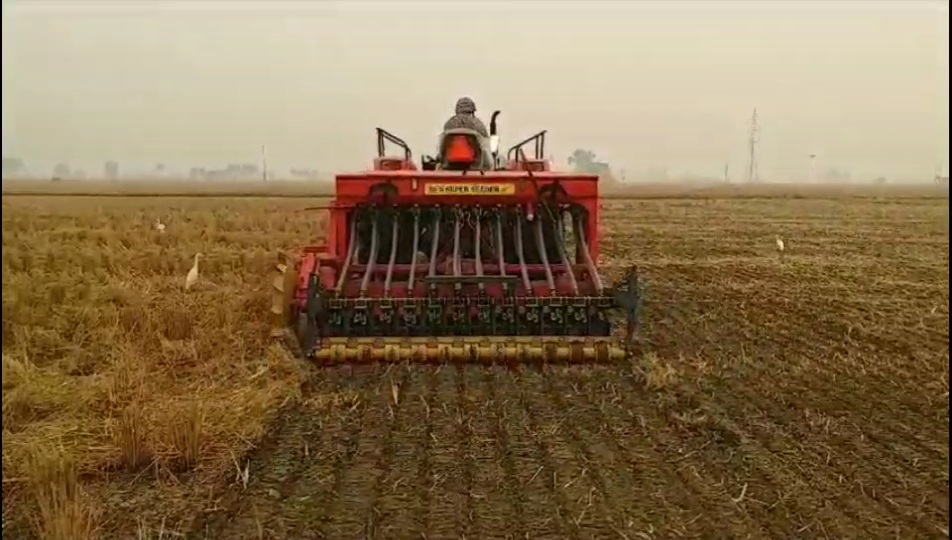 Wheat Farming In Haryana