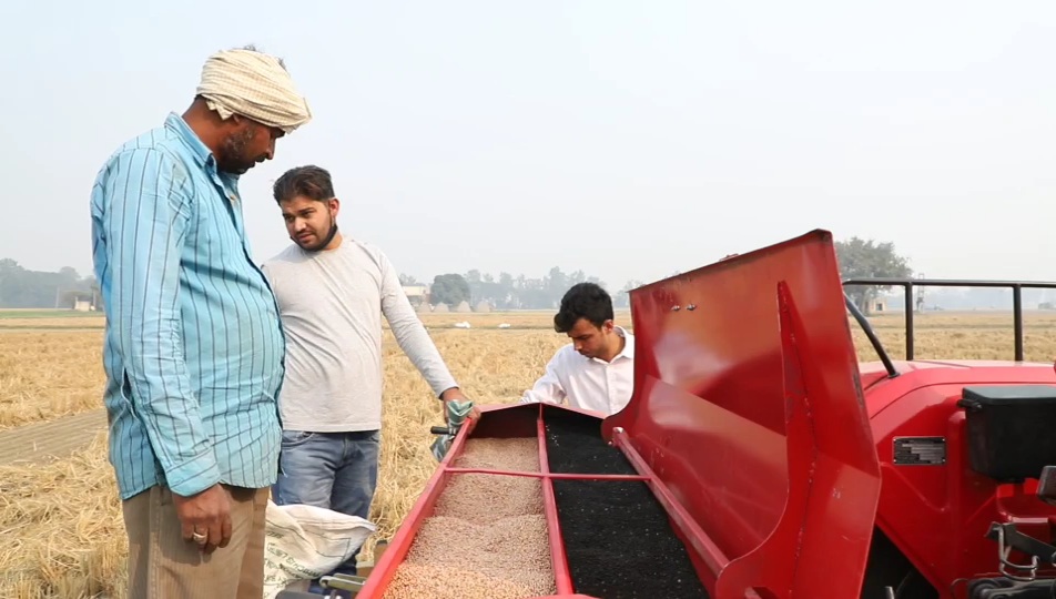 Wheat Farming In Haryana