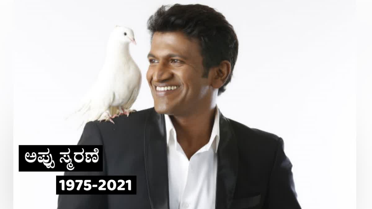 Puneeth Rajkumar's 3rd Death Anniversy