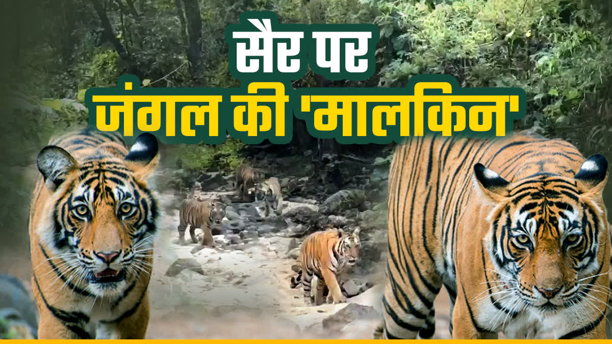 BANDHAVGARH TIGER RESERVE