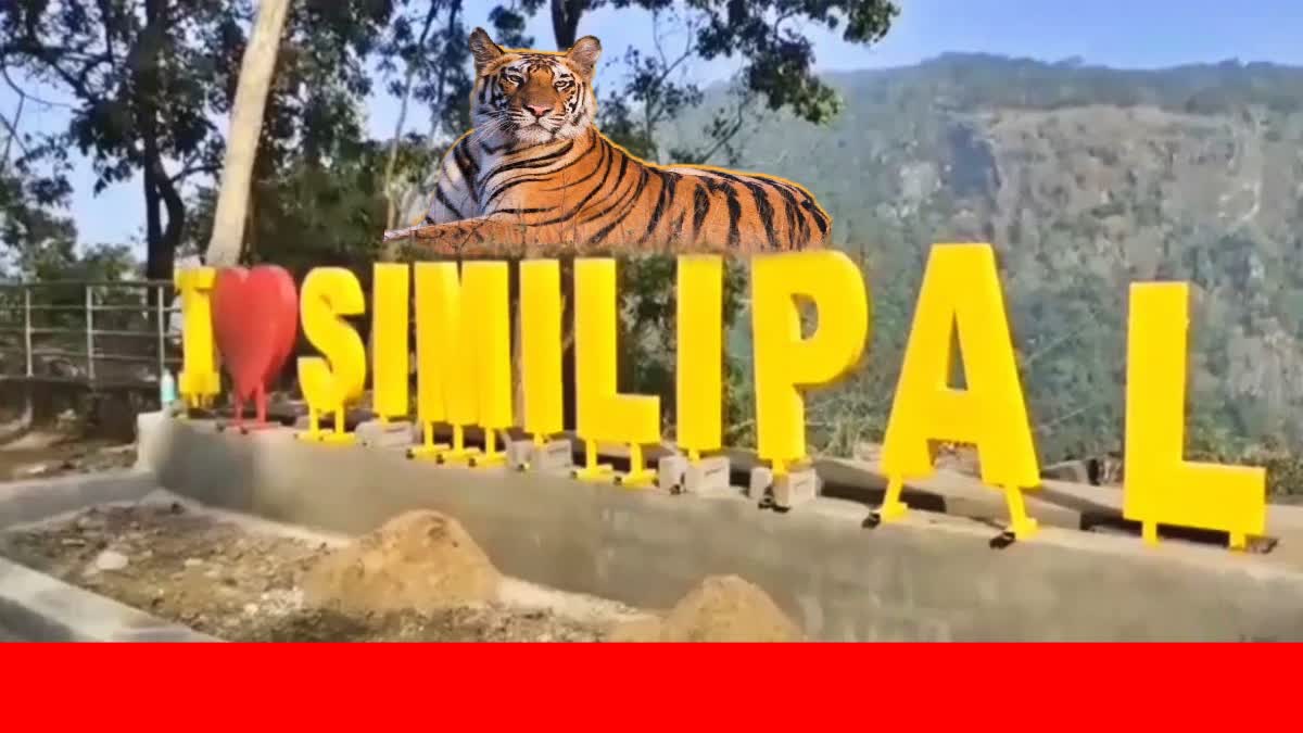 mayurbhanj Similipal Tiger Reserve reopens today for tourists