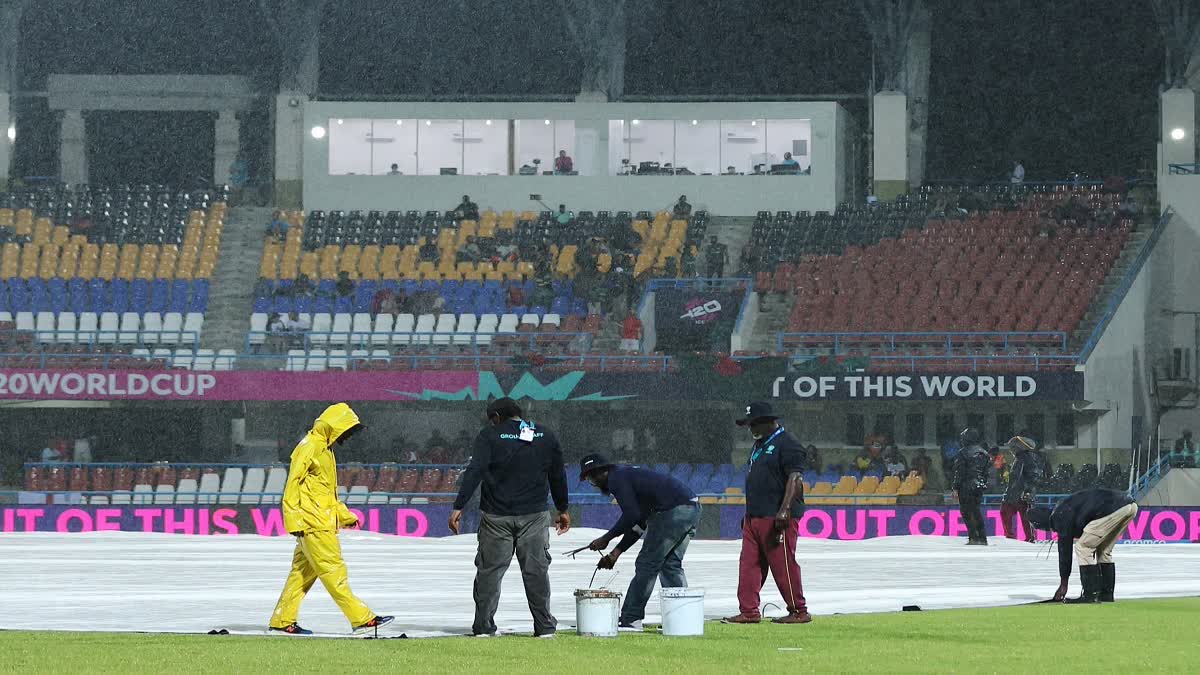 IND VS NZ 3rd Test Pitch Details