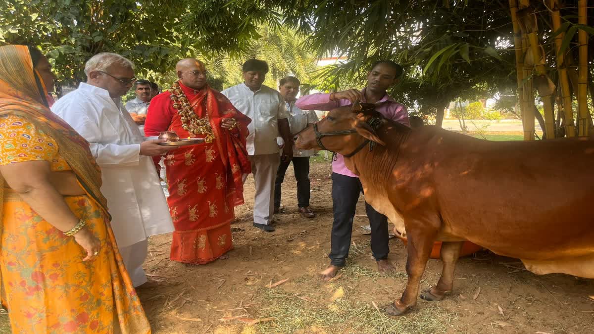 Gau Mata Chapter