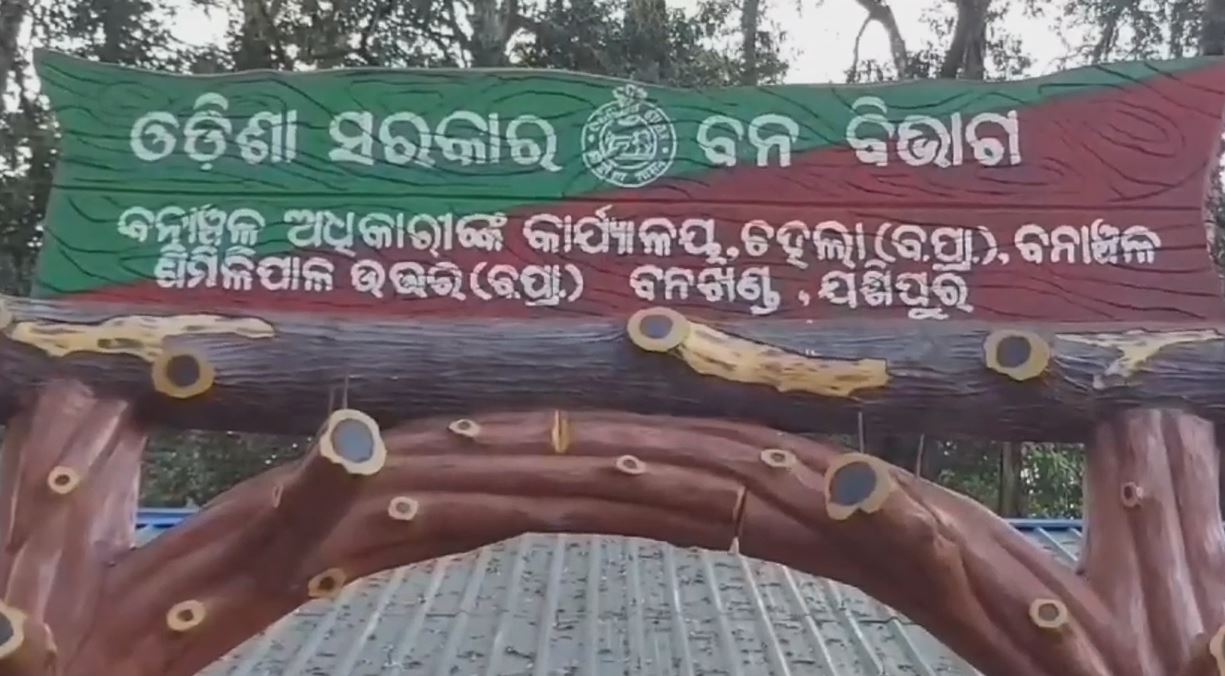 Mayurbhanj Similipal Tiger Reserve Reopens Today For Tourists