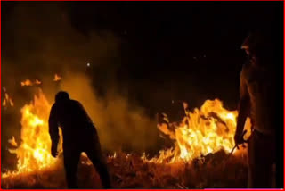 farmer sets fire to stubble