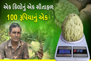 ઝરખીયા ગામના પ્રગતિશીલ ખેડૂત  ભરતભાઈ ચોવટીયા