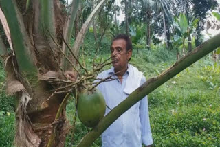 India's First Tender Coconut Wine By Kerala Farmer Hits Market After 20-Year Wait