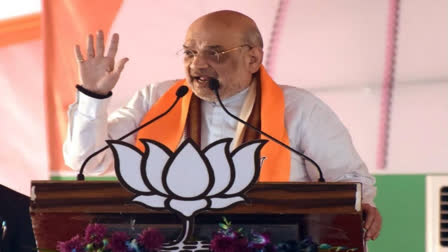 sardar-patel-deprived-of-bharat-ratna-for-long-efforts-made-to-erase-his-legacy-amit-shah