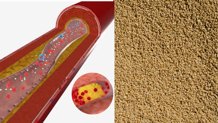 Millet consumption can reduce total cholesterol, triacylglycerols and BMI