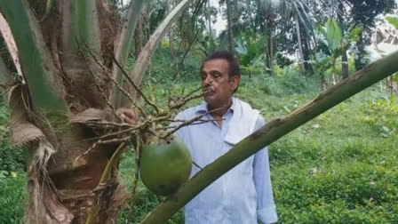 A farmer from Kerala has created tender coconut wine frist time in India