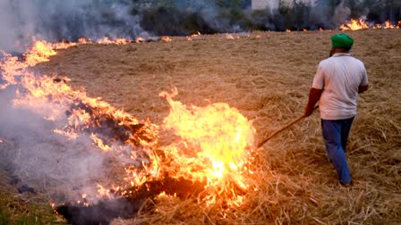 A man sets fire to the stubble at a farm in Patiala