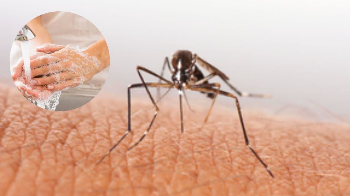 Does soap help fight malaria-carrying mosquitoes?