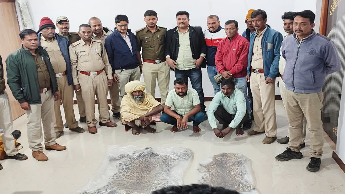 seoni news leopard Skin Smugglers Arrested