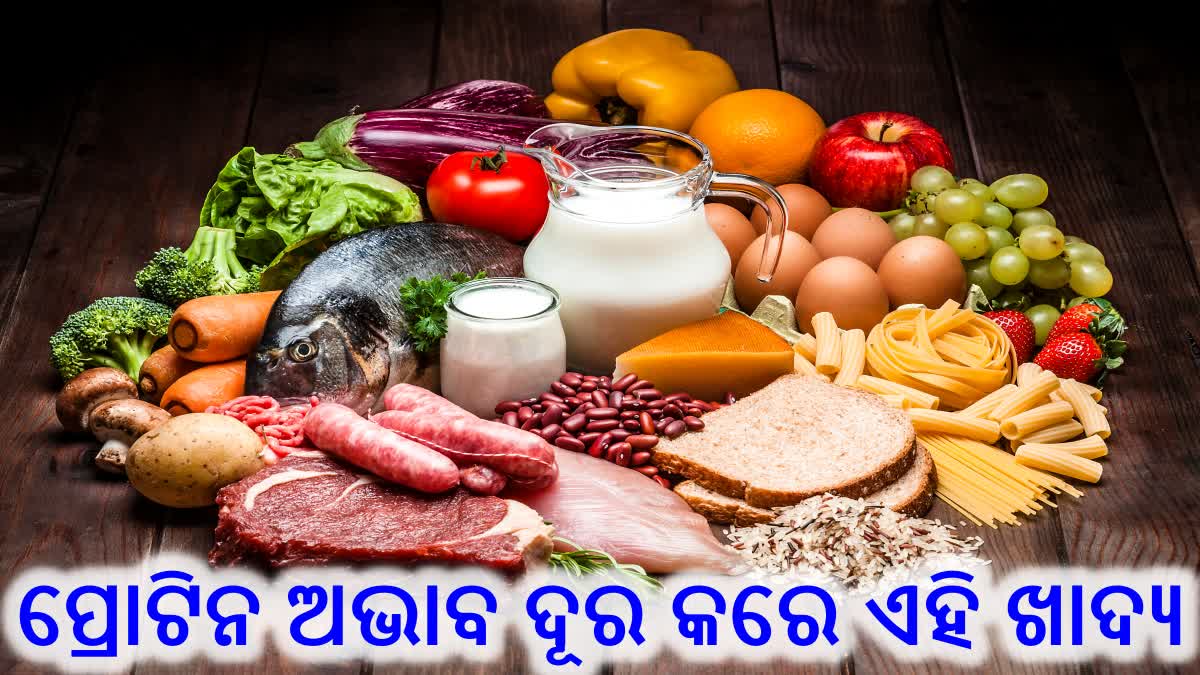 ଶରୀରରେ ପ୍ରୋଟିନ ଅଭାବ ହେଲେ ହୁଏ ଅନେକ ସମସ୍ୟା, ଡାଇଟରେ ସାମିଲ କରୁନ୍ତୁ ଏହି ଖାଦ୍ୟ