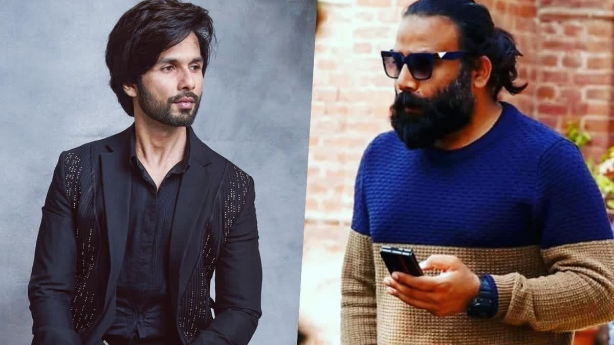 Kabir Singh Box Office Collection Day 1: Shahid Kapoor gets career best  opening as film collects Rs 20.21 crores on first day!