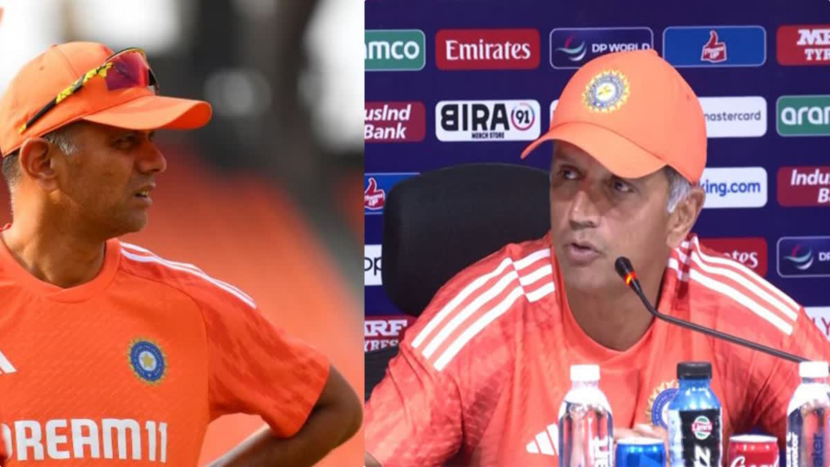 rahul dravid coach tenure extension