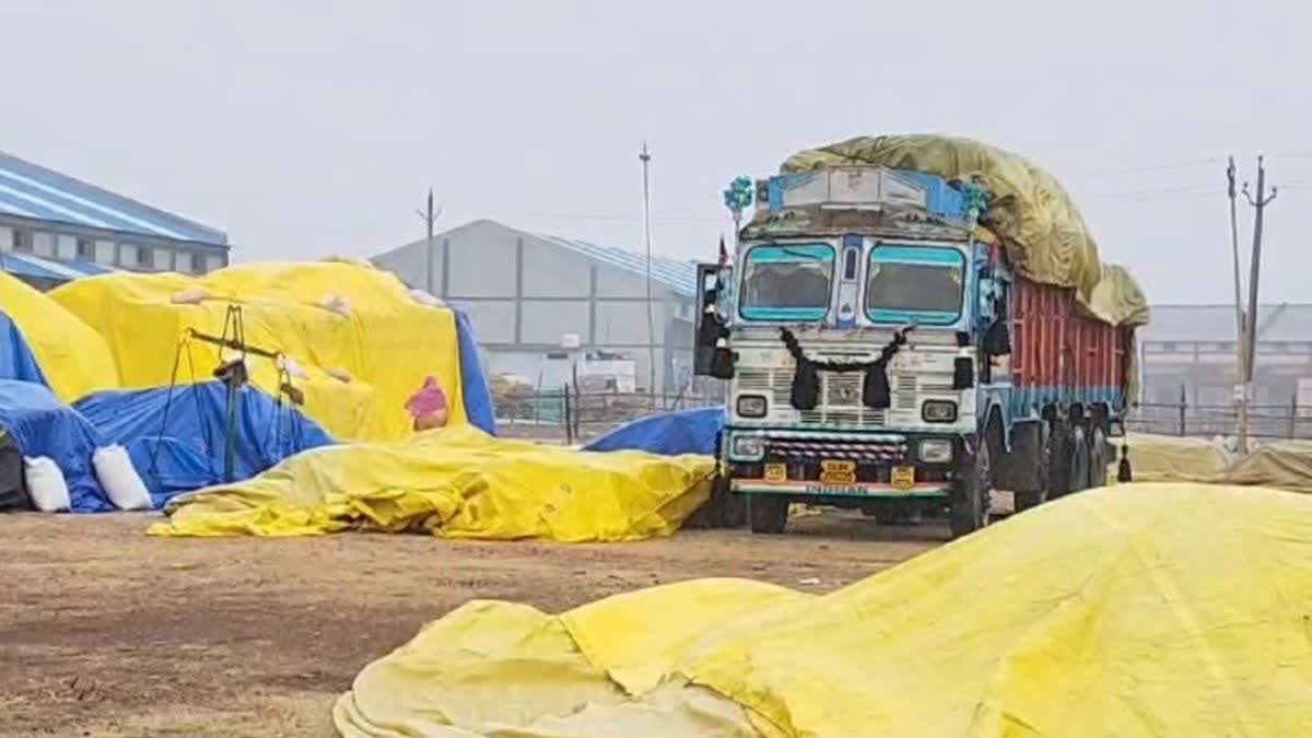 farmers in Problems before paddy purchasing