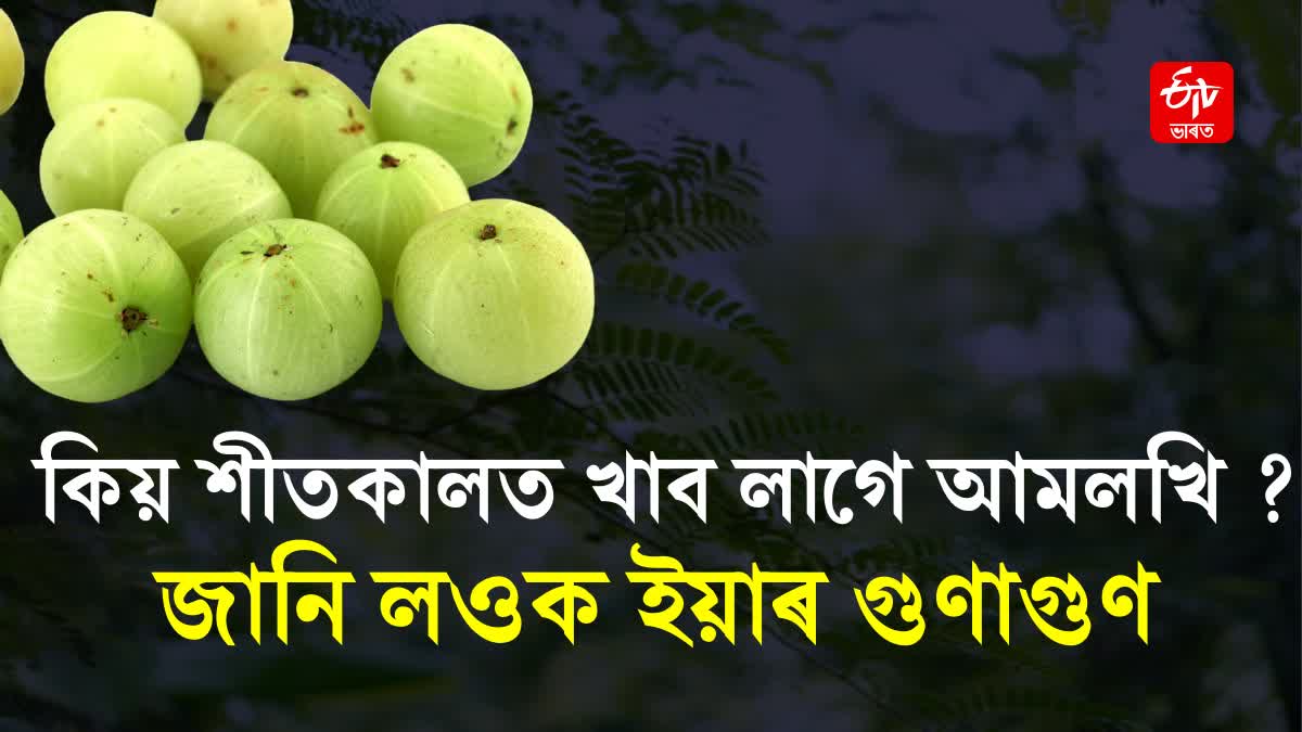 5 Health Benefits Of Eating Amla In Winters