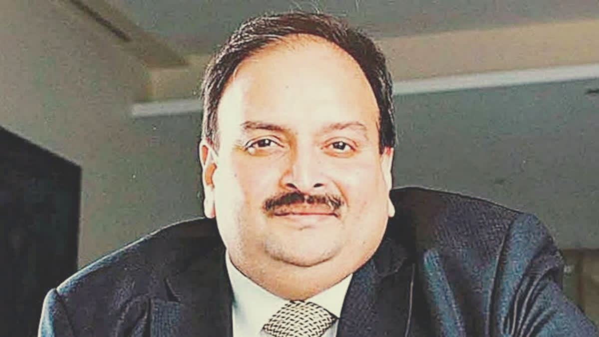 Court denies Mehul Choksi permission to intervene in bank's plea seeking release of properties