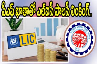 How to Link LIC Policy With PF Account