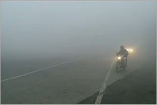 fog in Panipat winter weather