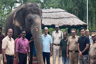 Female Elephant rescued in Nellai