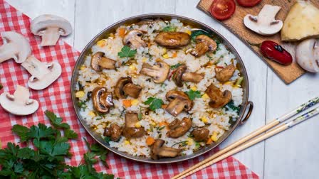 Mushroom Recipe News