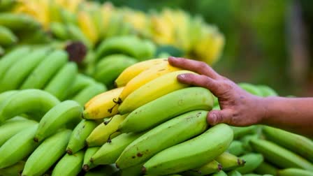 Raw Banana Benefits