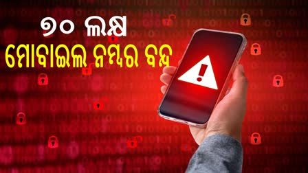 ୭୦ ଲକ୍ଷ ମୋବାଇଲ୍ ନମ୍ବର ବନ୍ଦ କଲେ ସରକାର, ଏହି କାରଣରୁ ନିଆଗଲା କାର୍ଯ୍ୟାନୁଷ୍ଠାନ