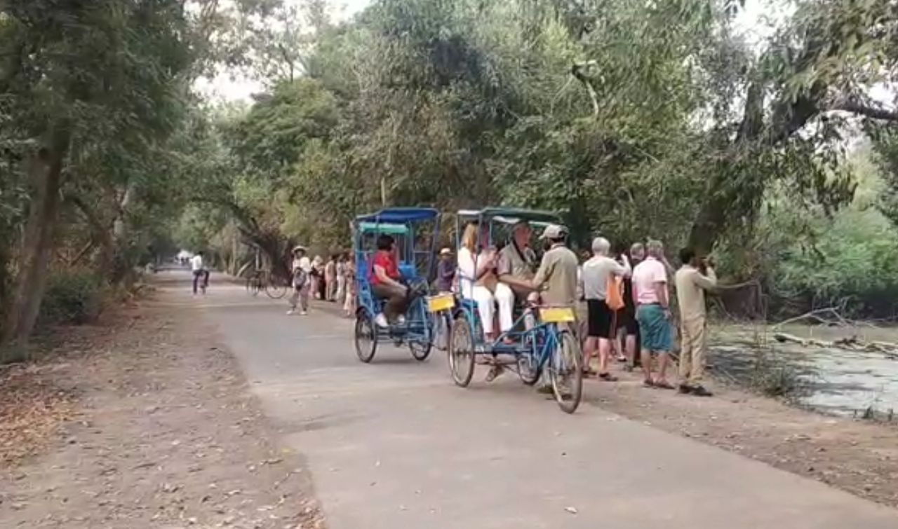 Research on Bharatpur Keoladeo