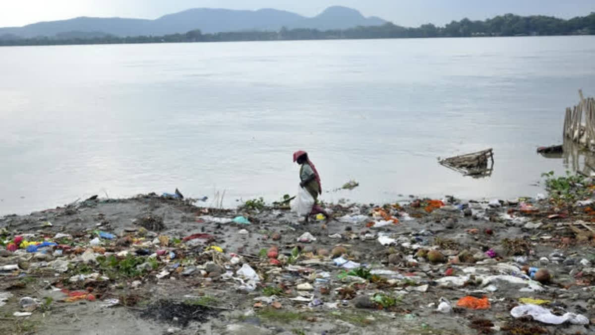 Polluted Godavari waters deplete oxygen in the Bay of Bengal, creating hypoxic zones that endanger marine life and disrupt ecosystems.