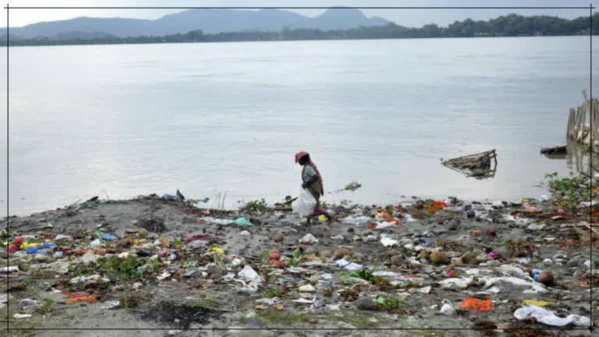 Research on Godavari Pollution