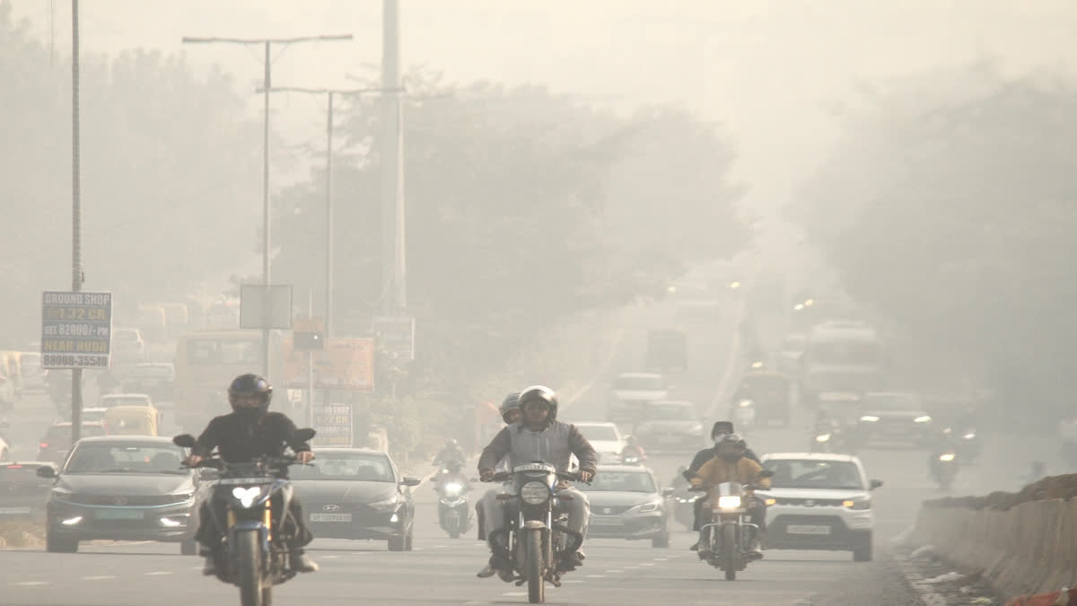 Can India Learn Lessons From China In Combating Air Pollution?