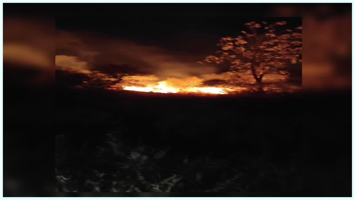 Fires In Damagundam Forest Area