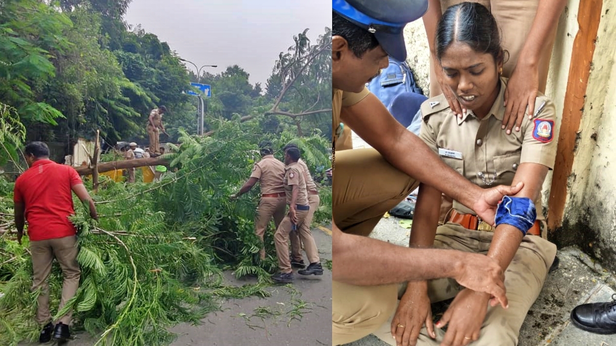 சாலையில் விழுந்த மரம் மற்றும் பணியில் இருந்த காவலர்