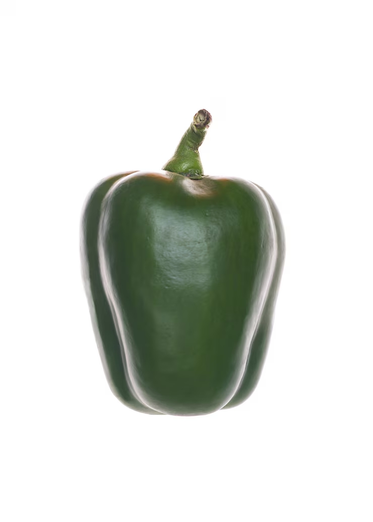 capsicum