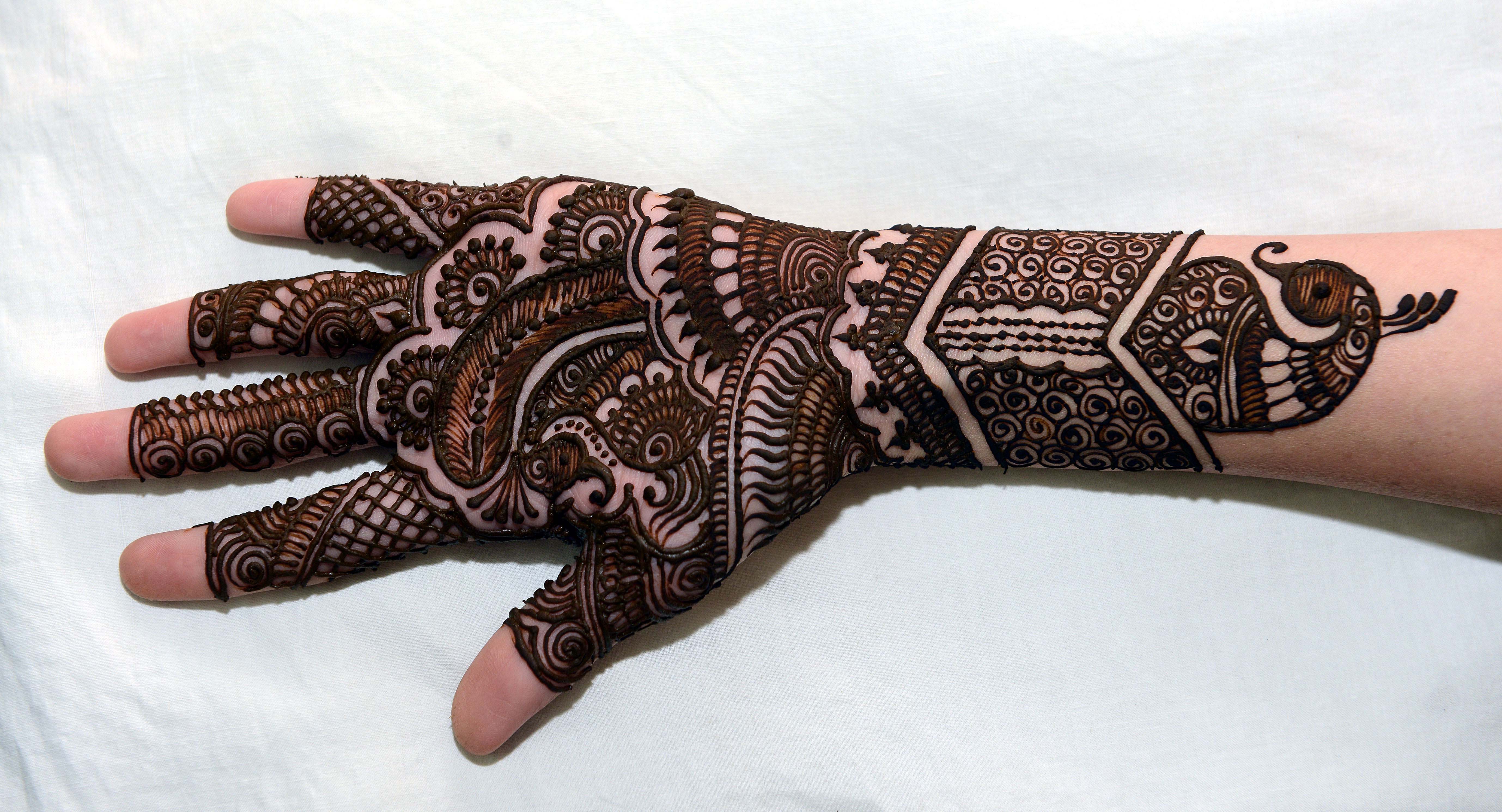 DIFFERENT TYPES OF MEHNDI DESIGNS  MEHNDI DESIGNS  മെഹന്തി ഡിസൈന്‍  മൈലാഞ്ചി കല്ല്യാണം ആഘോഷം