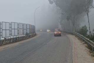 DENSE FOG HAVOC IN MANDI