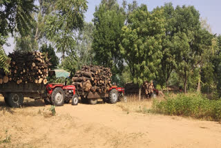 Encroachment on Forest Land