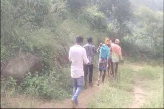 Thirteen-year-old Kasthuri, daughter of Rudrappa and Sivalingi, of Alakattu, Tamil Nadu, tragically lost her life after being bitten by a venomous snake while picking greens in a nearby field.