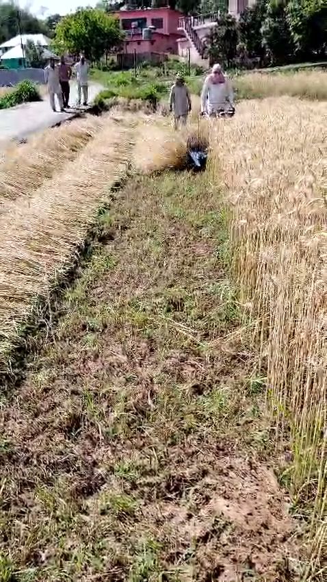 Shahdol Reaper Machine Crop Harvesting