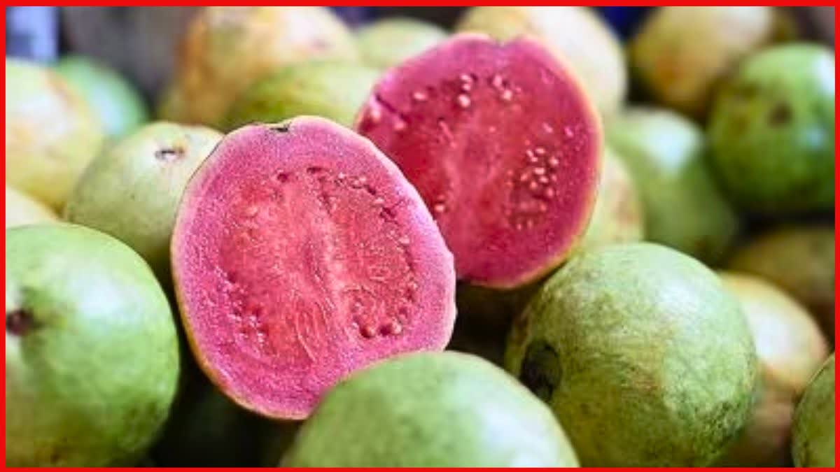 Pink guava